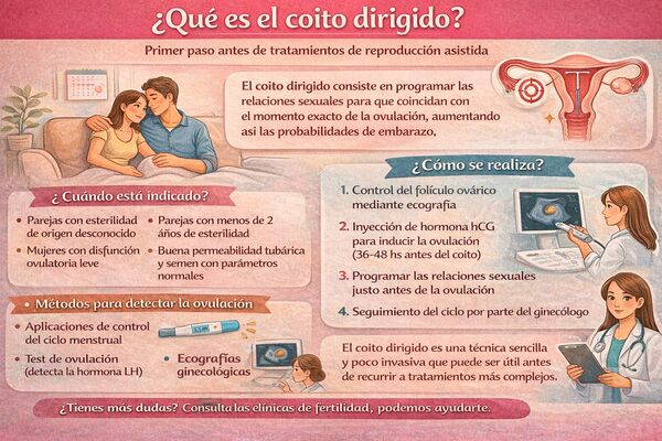 Coito dirigido: ¿Qué es y cómo ayuda a lograr el embarazo?