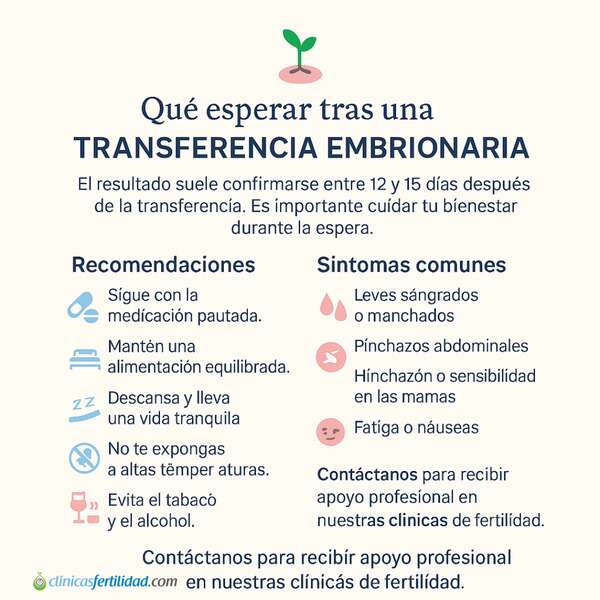 Qué esperar tras una transferencia embrionaria