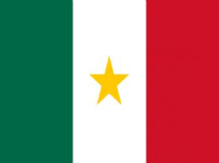 Bandera Coahuila
