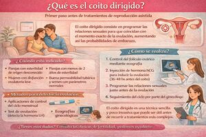 Coito dirigido: ¿Qué es y cómo ayuda a lograr el embarazo?