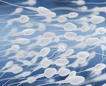 El semen congelado es viable para reproducir humanos fuera de la Tierra