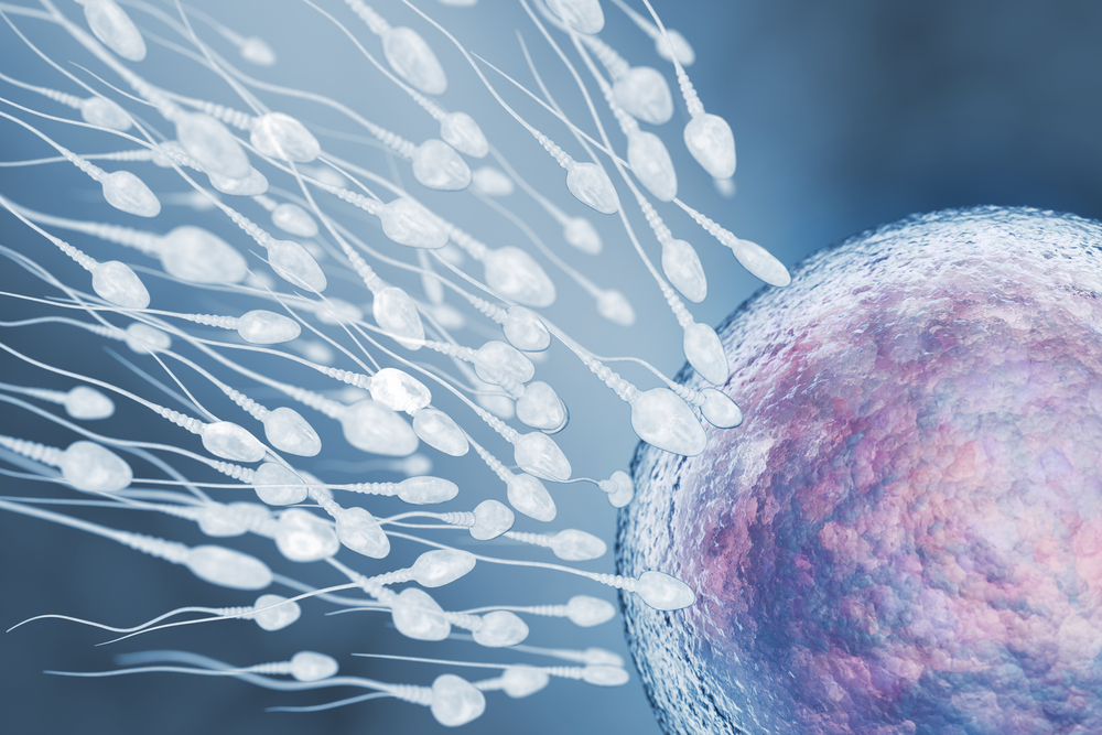 ¿Afecta la Covid-19 a la fertilidad masculina?