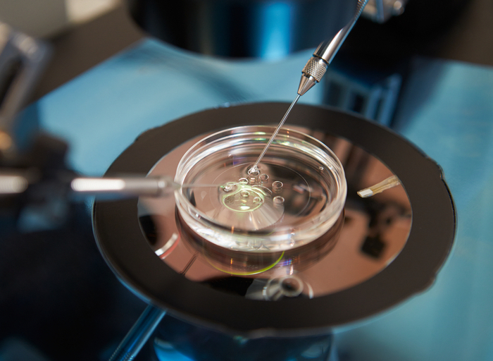 Sanidad registra un aumento en los nacimientos por Fecundación In Vitro e Inseminación Artificial en España