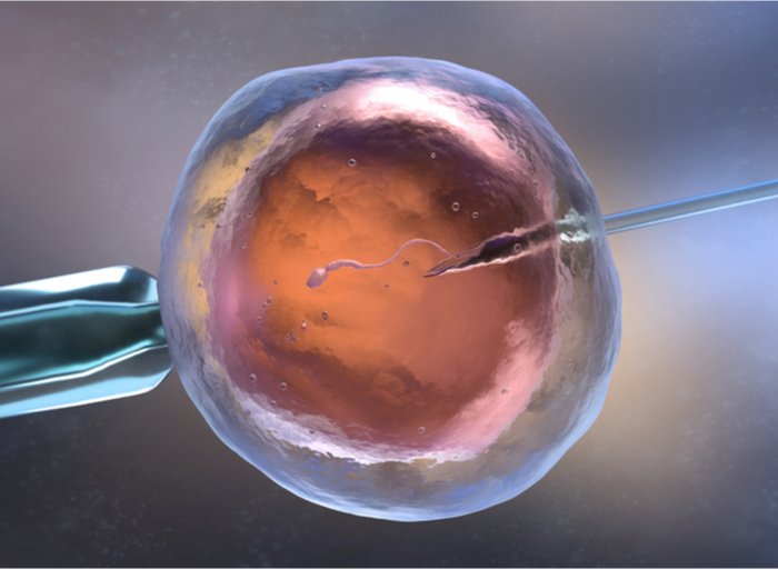 La edad es un factor determinante en la Fecundación in Vitro según un estudio de la Universidad de Monash