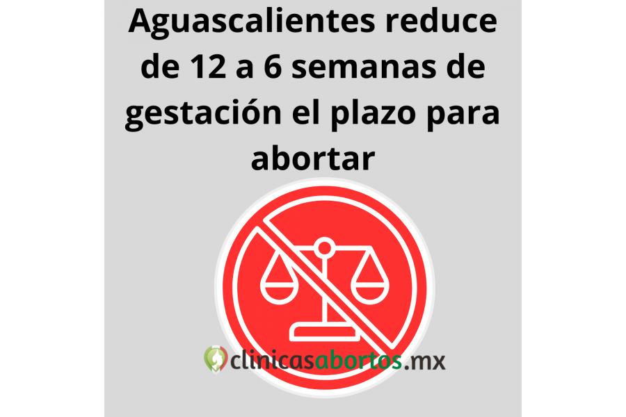Aguascalientes reduce de 12 a 6 semanas de gestación el plazo para abortar