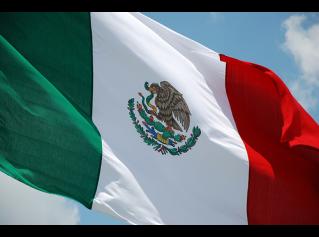 Investigadores mexicanos buscan un anticonceptivo masculino reversible