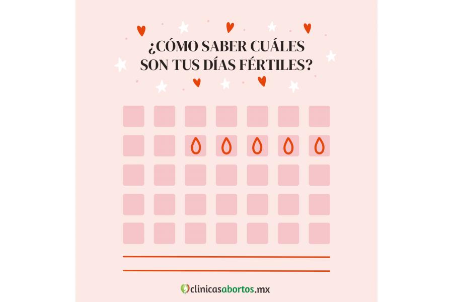¿Cómo sé cuáles son los días de mi ovulación?