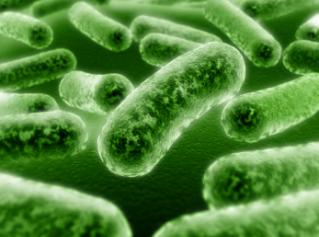 La OMS destaca los avances logrados en europa en materia sanitaria