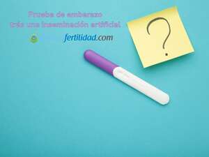 ¿Cuándo se detecta el embarazo después de una inseminación artificial?
