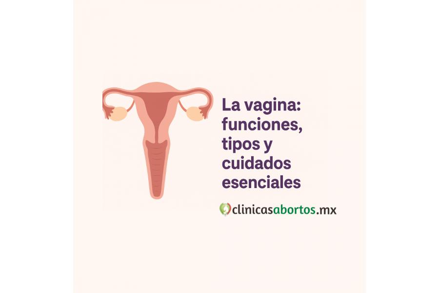 La vagina: funciones, tipos y cuidados esenciales para tu salud íntima