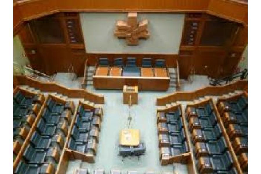 El Parlamento Vasco en contra de la reforma del aborto