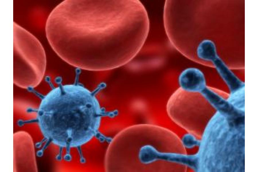 El Virus del Papiloma Humano en México, problema de Salud Pública