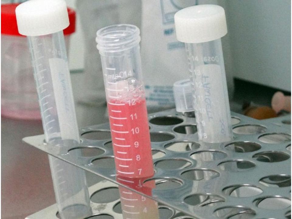 Centro de reproducción asistida IREMA