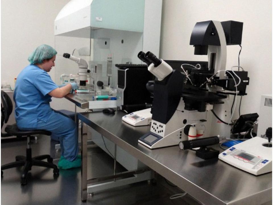 Centro de reproducción asistida IREMA