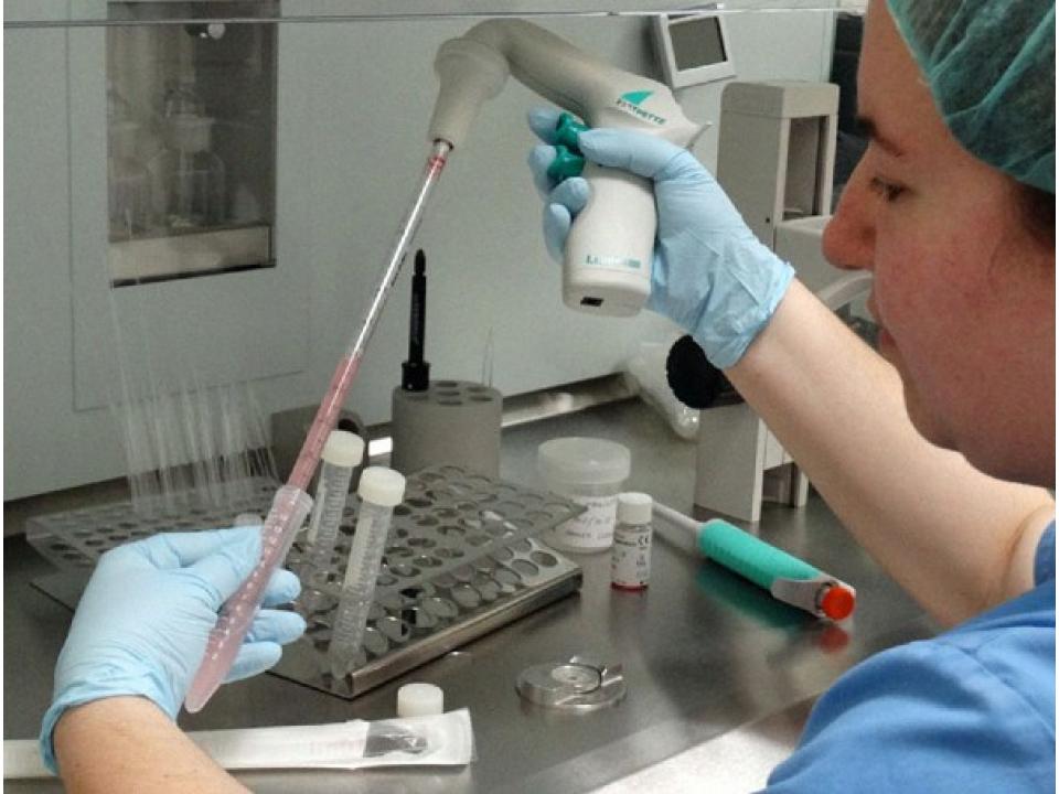 Centro de reproducción asistida IREMA