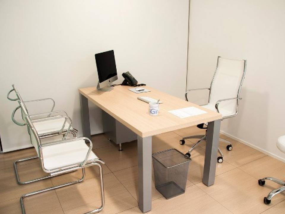 Consulta