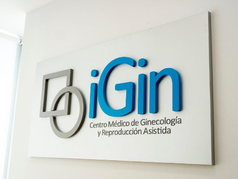 iGin Donostia