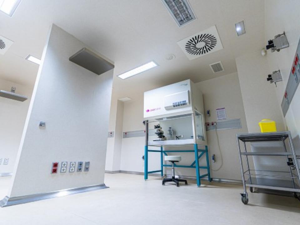 ovoclinic Madrid