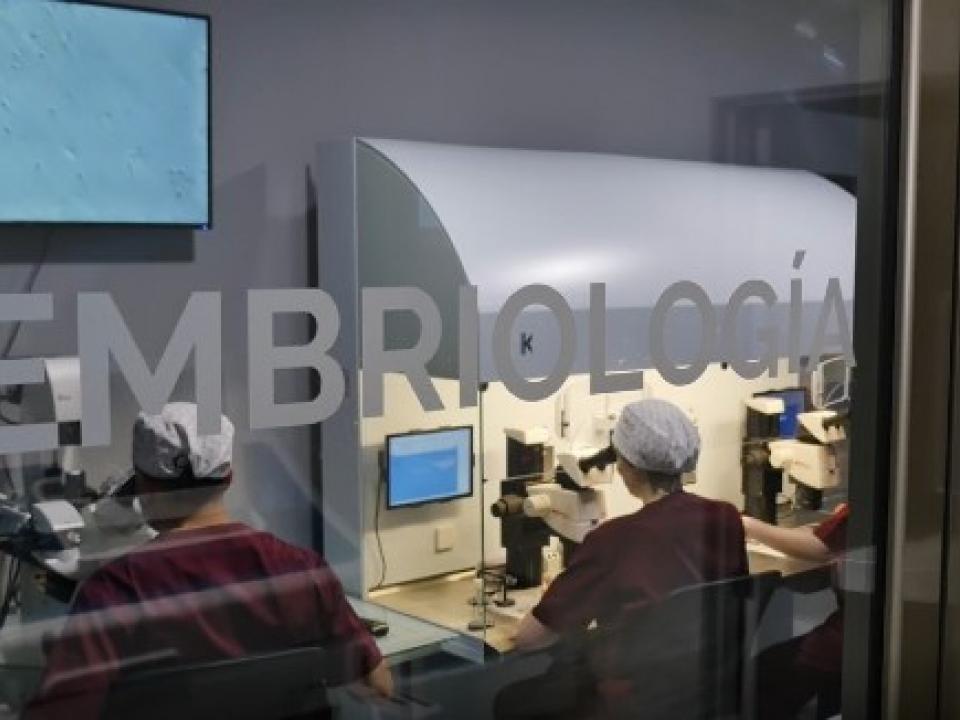 Embriología
