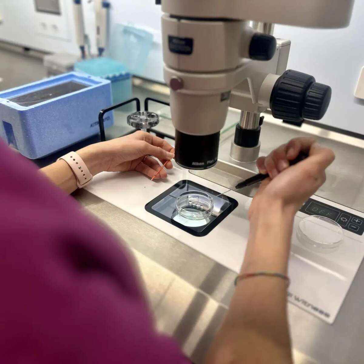 OnaFIV Fertilidad y Ginecología