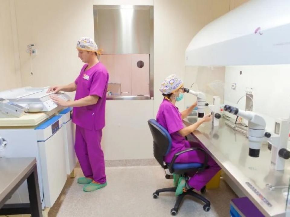 Laboratorio