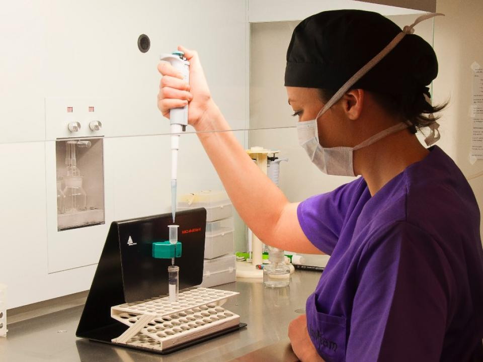 Laboratorio