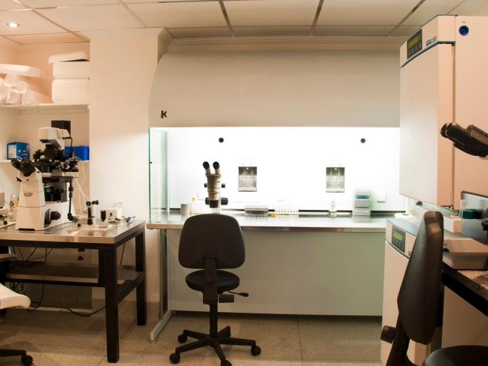 INVITAM Centro de Medicina Reproductiva