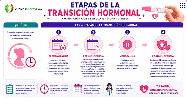 1f7763a491094f31b0273df945642301 etapas del proceso hormonal