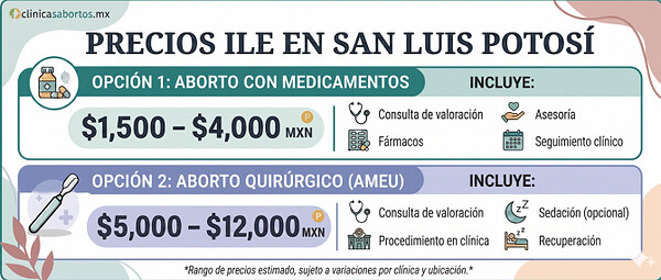 3903752252d442eb8cfcfe74de6ddf49 precio ile san luis potosi