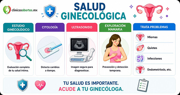 3aba10fadaef4fe6a950ad69a7654d64 ginecologia