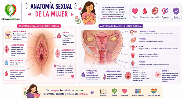 4b3e42188d4d43bbb3da977270851600 anatomia sexual mujer