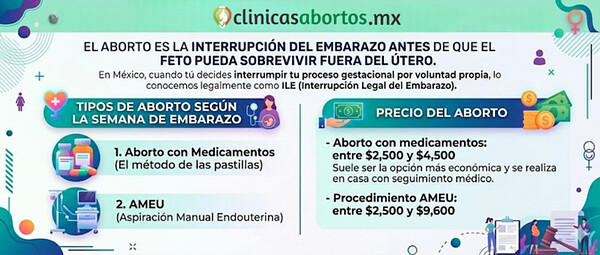 61eadb8751ef4befa3af839eb84f8148 que es el aborto