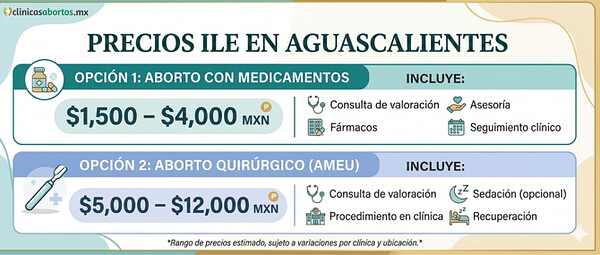 6f6d70d9b3214c02b09a337eb6927117 precios ile en aguascalientes
