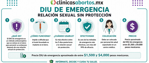 ad21c71c20724c7dabe92bb1ef95c428 todo lo que necesitas saber sobre el diu de emergencia