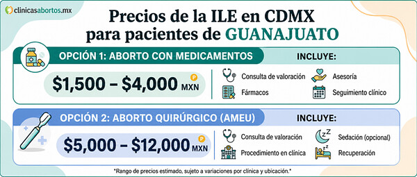 ae5aa68a4f5b4d55aa8b33f25b25725c precio ile guanajuato