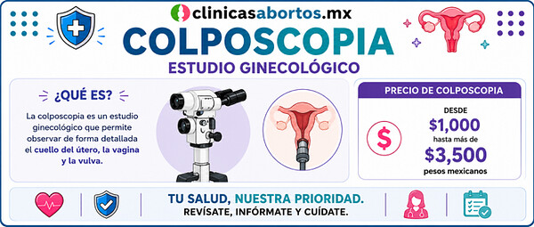 d36a68103e054e1eb4650de59839b3fe informacion sobre la colposcopia
