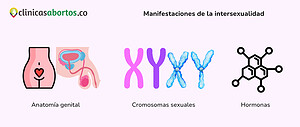 Manifestaciones de la intersexualidad