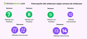 Interrupción del embarazo según semana de embarazo