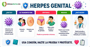 Información sobre el herpes genital
