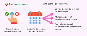 Hasta cuándo puedo abortar