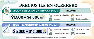 Costo de la ILE en Guerreo