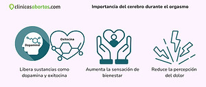 Importancia del cerebro durante el orgasmo