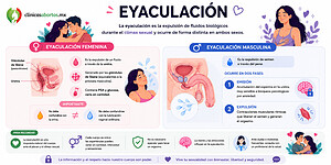 Información sobre la eyaculación