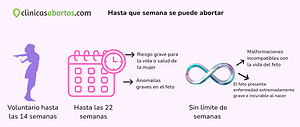 Hasta que semana se puede abortar