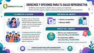 Toda la información sobre cómo abortar