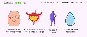 Causas comunes de la Incontinencia urinaria