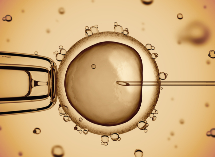 Inseminacion artificial