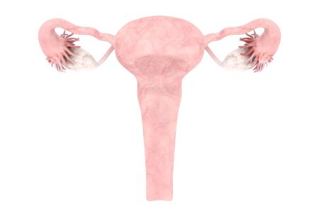 utero 6