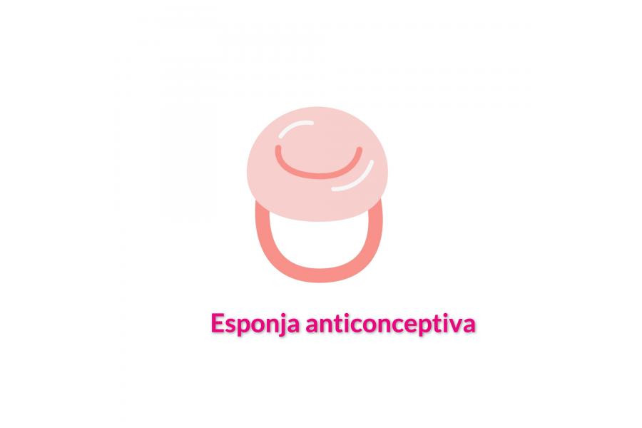 esponja