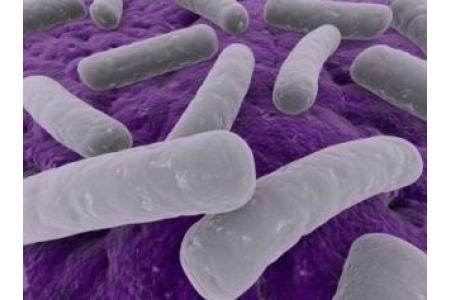 amebiasis